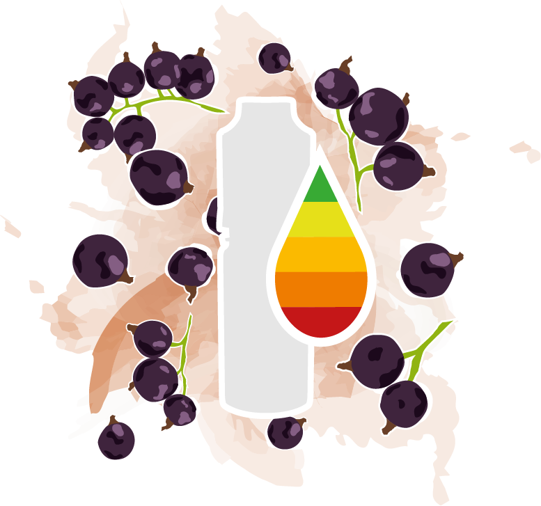 Johanna Lips (ehem. Cassis)