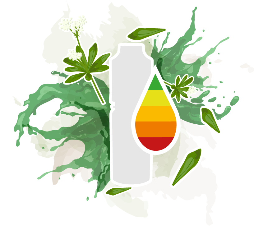 Wiggly Giggly (ehem. Waldmeister)