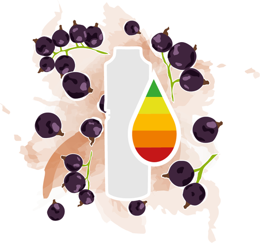 Johanna Lips (ehem. Cassis)