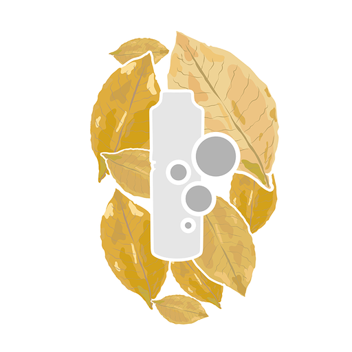 mC Aroma Tabak Nr°1